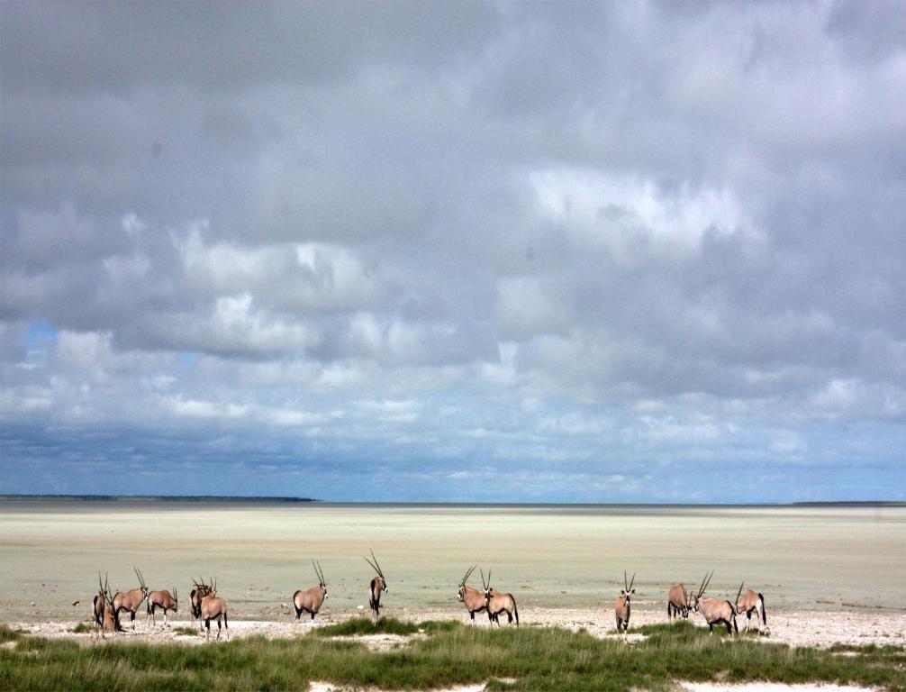 Вилла Mokuti Etosha Намутони Экстерьер фото