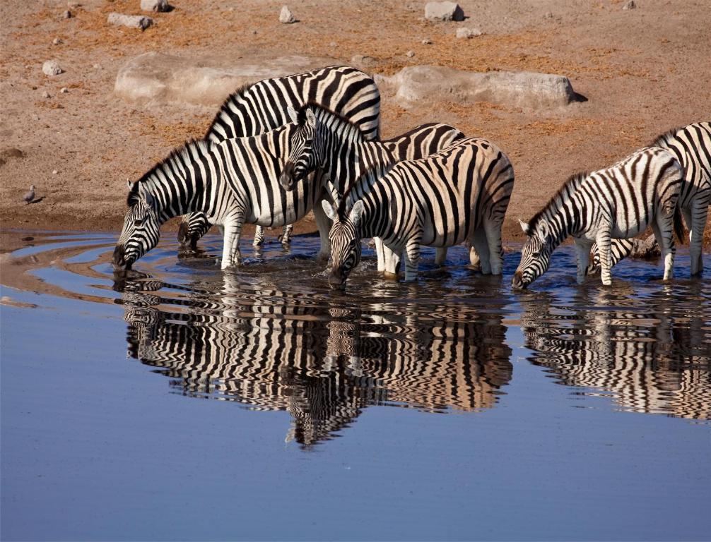 Вилла Mokuti Etosha Намутони Экстерьер фото